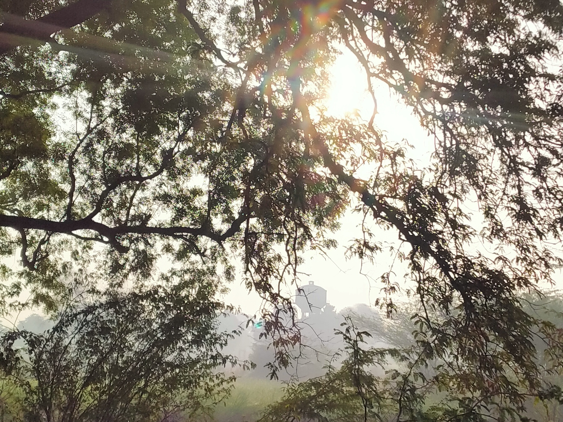 Increase in day and night temperatures, the winds coming from the Arabian Sea will cool the