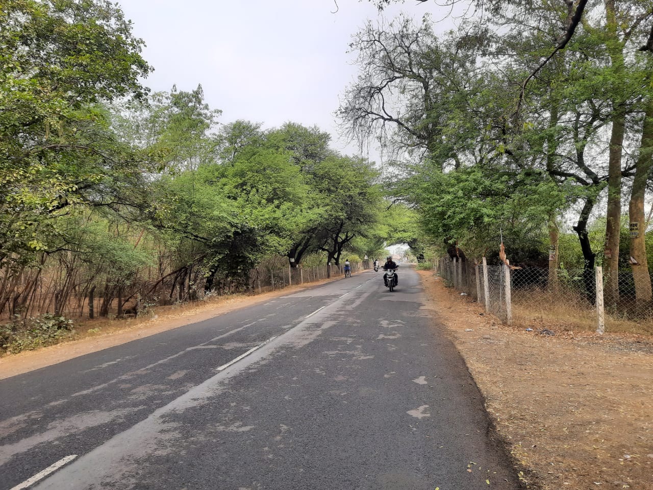 नर्मदापुरम में कहीं हल्की बारिश तो कहीं बूंदाबांदी हुई।