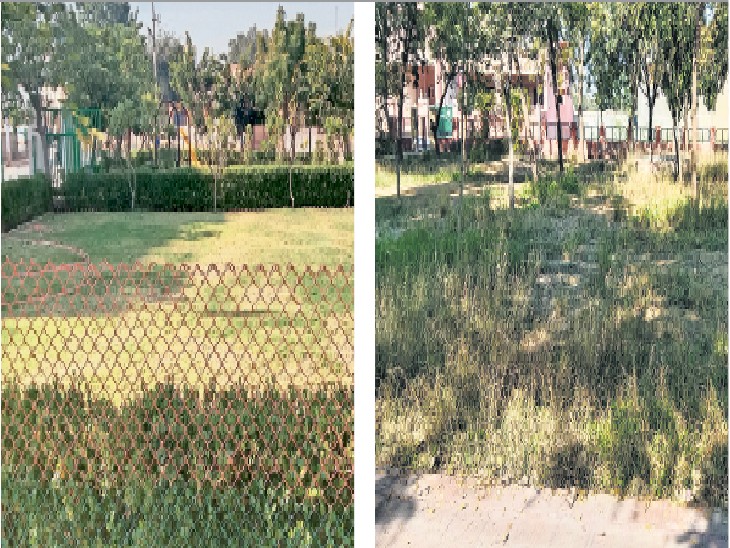 Situations in colonies from raw settlements; Park of Karni Nagar