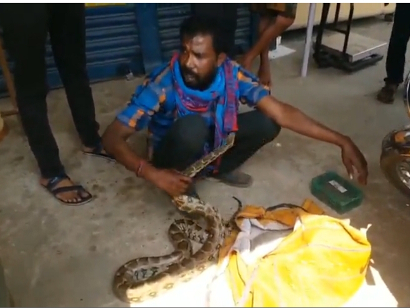 Caught a young man walking with an eight feet python around his neck ...