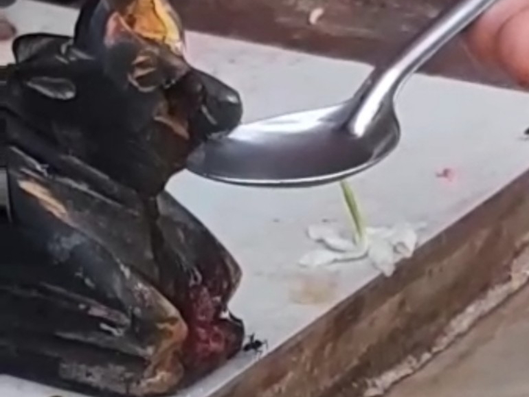 नंदी प्रतिमा के जल पीने की खबर फैलते ही शिवालयों में उमड़ी भीड़, भक्तों