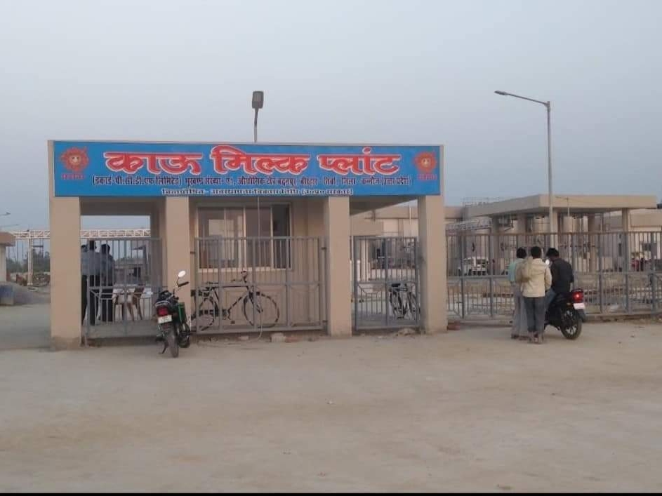 काऊ मिल्क प्लांट पर बड़ी दूध की आवक, शुरू हुआ उत्पादन Big milk arrival at cow milk plant