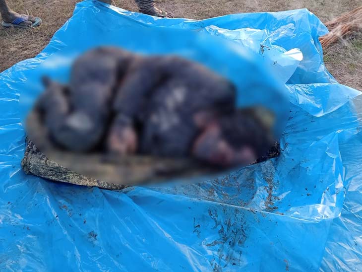 पीड़िता के साथ 6 लोगों ने गैंगरेप किया था।