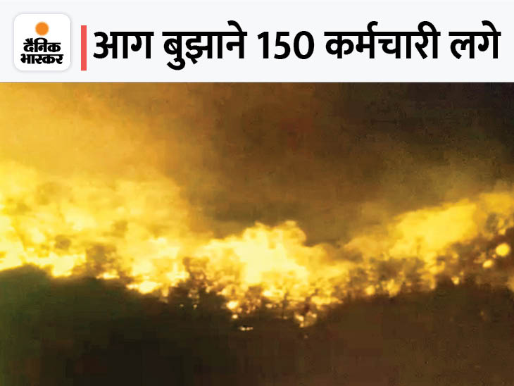 सरिस्का के जंगल में फिर भड़की आग: पहले जहां आग फैली, वहां से 3KM दूर दोबारा उठीं लपटें, जयपुर-दौसा से बुलाई टीमें