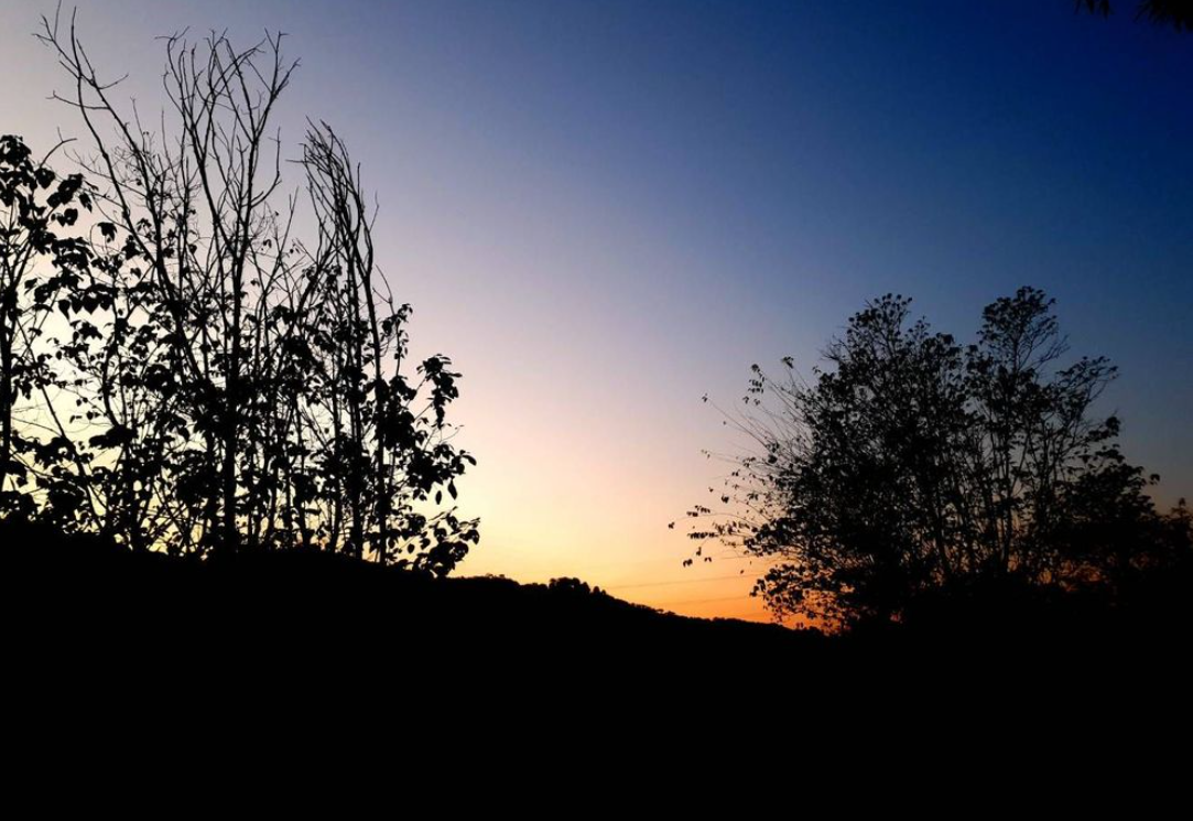 दिन ढलते वक्त की तस्वीर