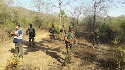 कोलुहा जंगल में एसटीएफ के जवान