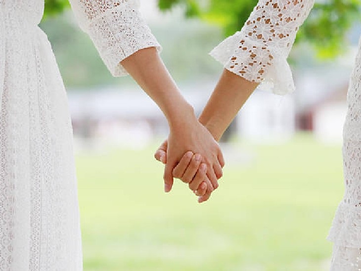 दो लड़कियों की समलैंगिक शादी को नहीं दी मान्यता; सरकारी वकील ने कहा- भारतीय  सभ्यता और संस्कारों में यह गलत कदम | allahabad high court; Gay marriage of  two girls was not