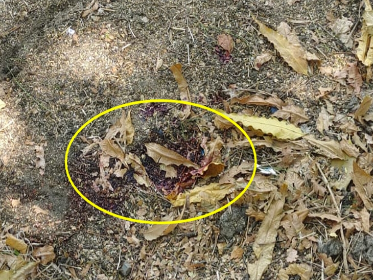 घटना स्थल पर खून के निशान