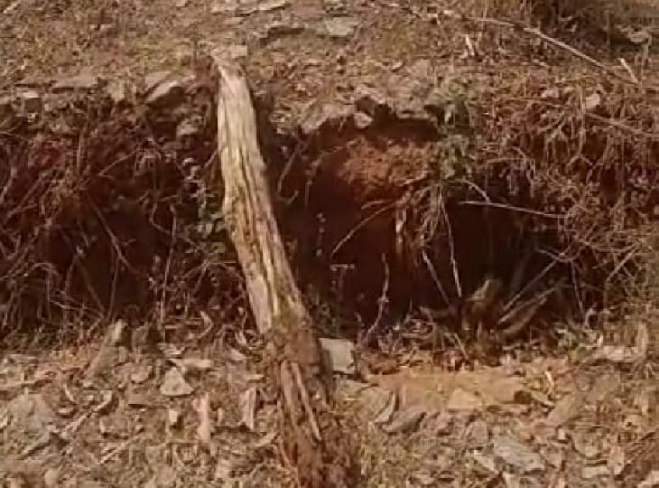 नक्सलियों ने सड़क काटी है।