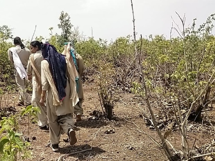 जंगल मे सर्चिंग करती वन विभाग की टीम।