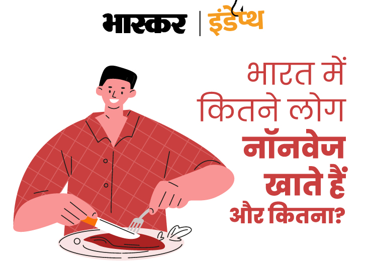 Vegetarian And Non Vegetarian Percentage In India
