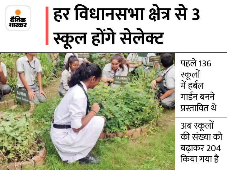 planning to develop herbal gardens in 204 schools of himachal pradesh