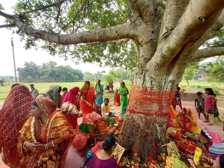 वट वृक्ष की पूजा कर की पति के लंबी उम्र की कामना, पूजन कर बांस से बने ...