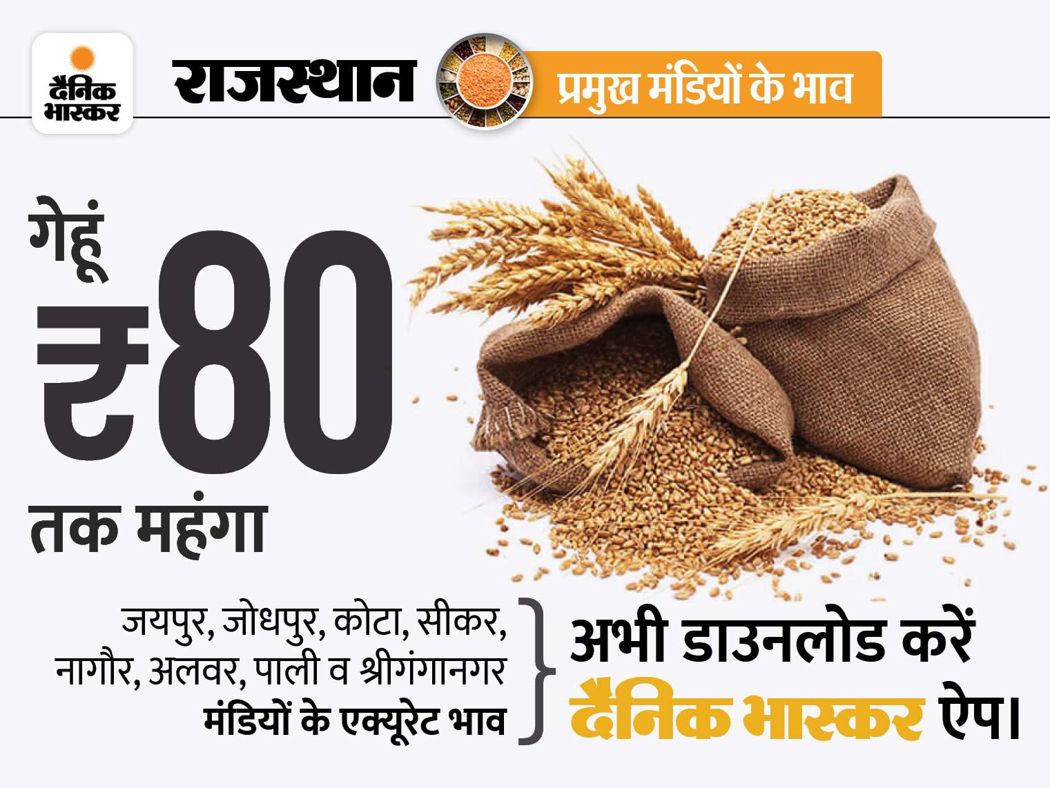 Rajasthan Mandi Rate Updates; Mustard Oil Rate Jowar, Maize,coriander