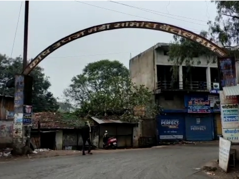 There is not much difference in the price of wheat and maize, wheat