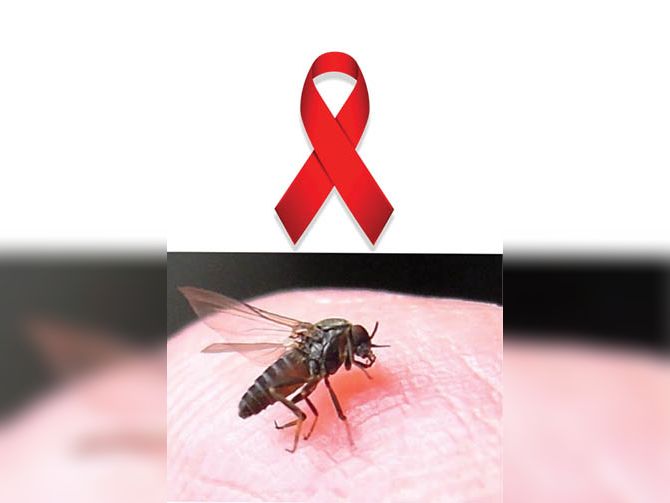 A neglected disease caused by Kala-azar parasite | जानकारी: कालाजार ...