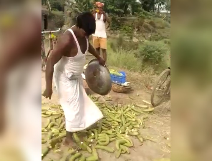 नेनुआ को पैरों से रौंदता किसान।