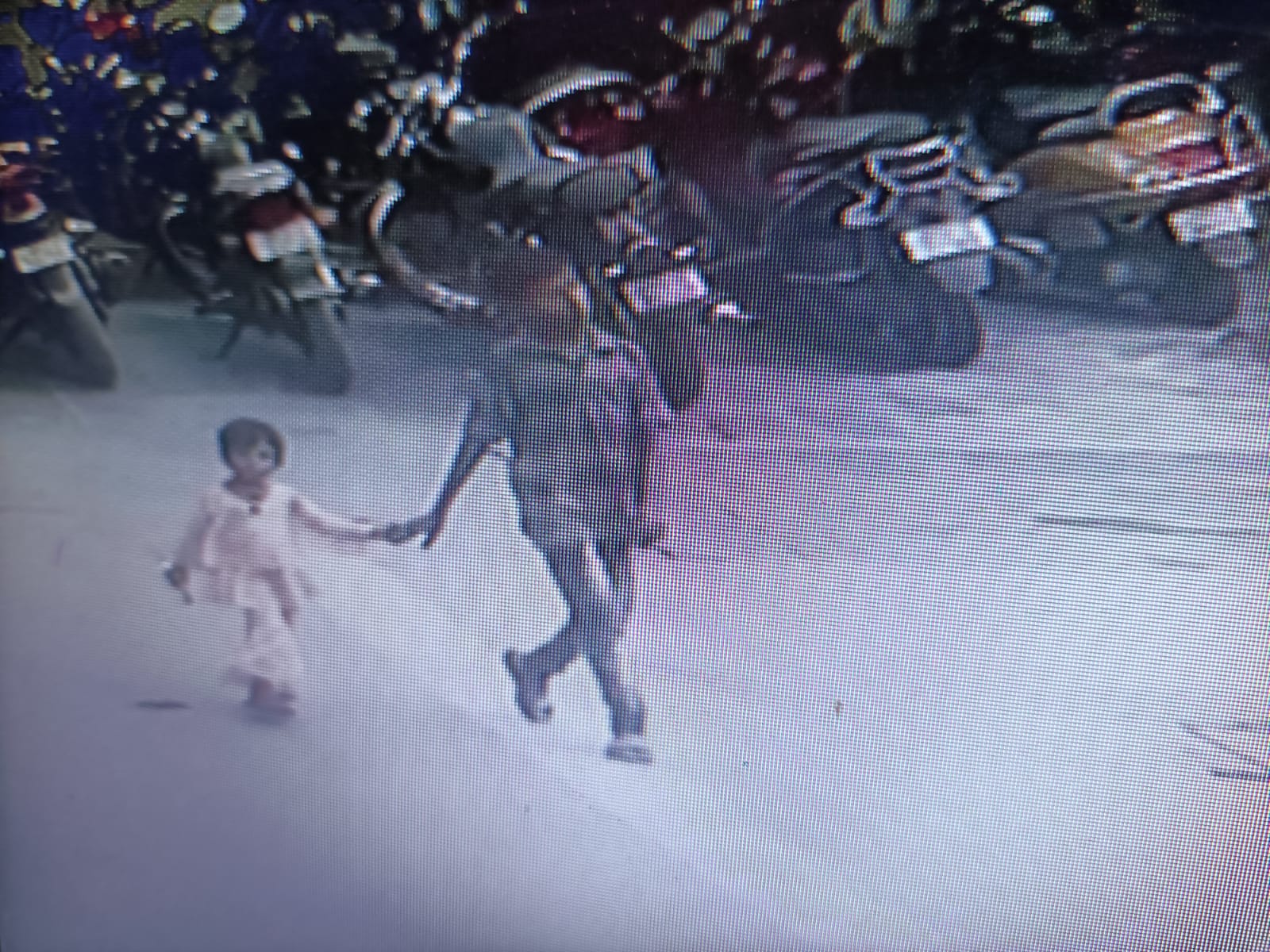 22 जून की शाम किराएदार के बेटे शिबू के साथ दिखी सान्या। - Dainik Bhaskar