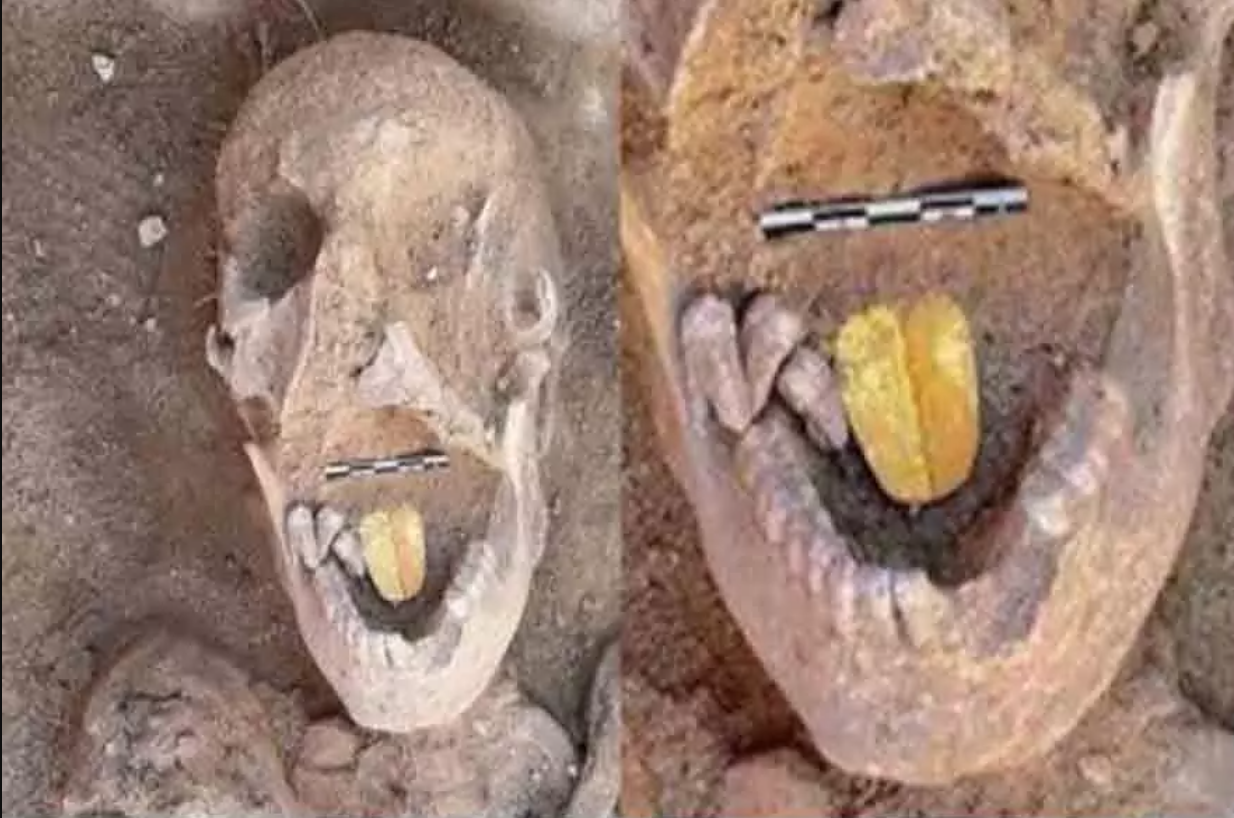 ये ममी मिस्र के टॉलमी साम्राज्य की चर्चित रानी क्लियोपेट्रा (Queen Cleopatra)की है। इस ममी को मिस्र के ताप सिरिस मैग्ना से निकाला गया। जो करीब 2 हजार साल पुरानी बताई जा रही थी।