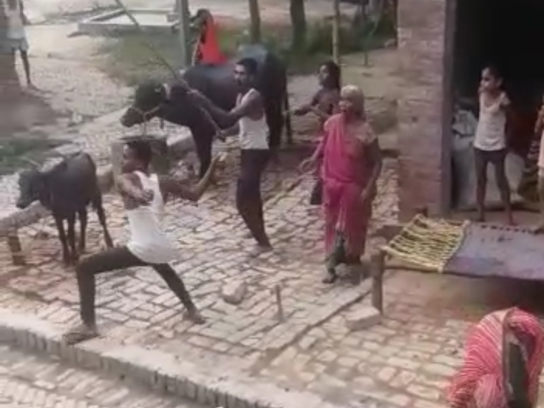 मारपीट करते हुए ग्रामीण।