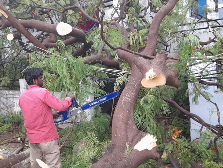 तेज हवा और पानी के बीच कई पेड़ धराशायी हो गए।