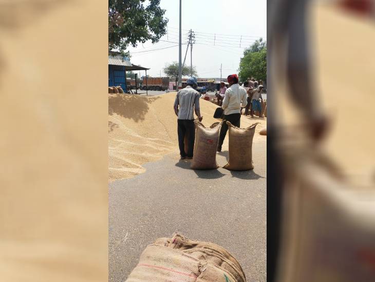 गेहूं खरीद का प्रतीकात्मक फोटो। - Dainik Bhaskar