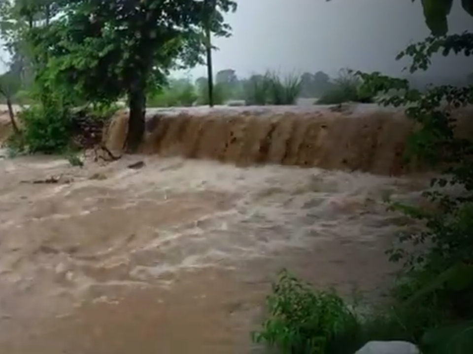 Paddy crop was washed away due to torrential rain, water from the rainy
