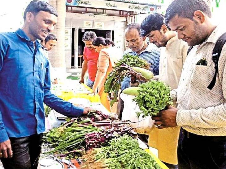 जबलपुर के गांधी भवन परिसर में महीने के दूसरे और आखिरी रविवार को जैविक मंडी लगती है। किसान जैविक उत्पाद यहां बेच सकते हैं।