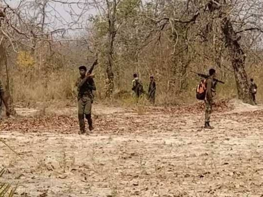 सर्च ऑपरेशन चलाते जवान। - Dainik Bhaskar