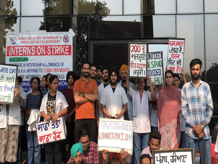 OPD of Ludhiana Veterinary Hospital closed from today, students are
