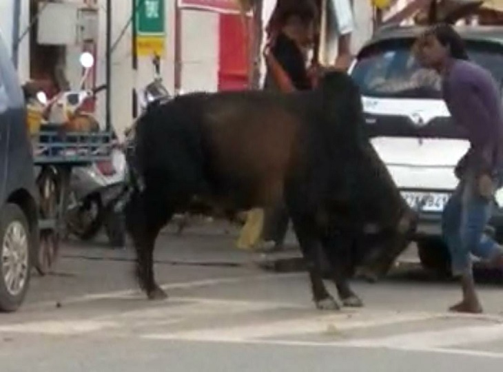 यह वीडियो जगदलपुर के मां दंतेश्वरी मंदिर के सामने का है।