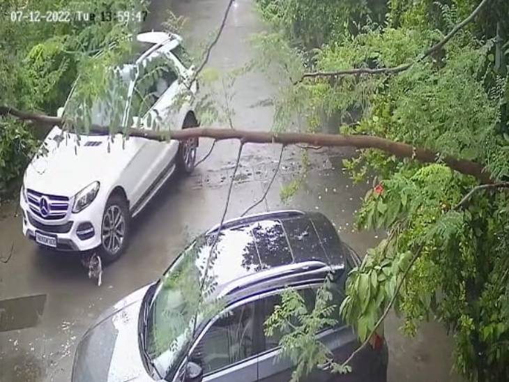 स्ट्रीट डॉग को रौंदते हुए चली गई कार