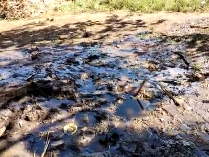 सड़क किनारे जमा तेल।