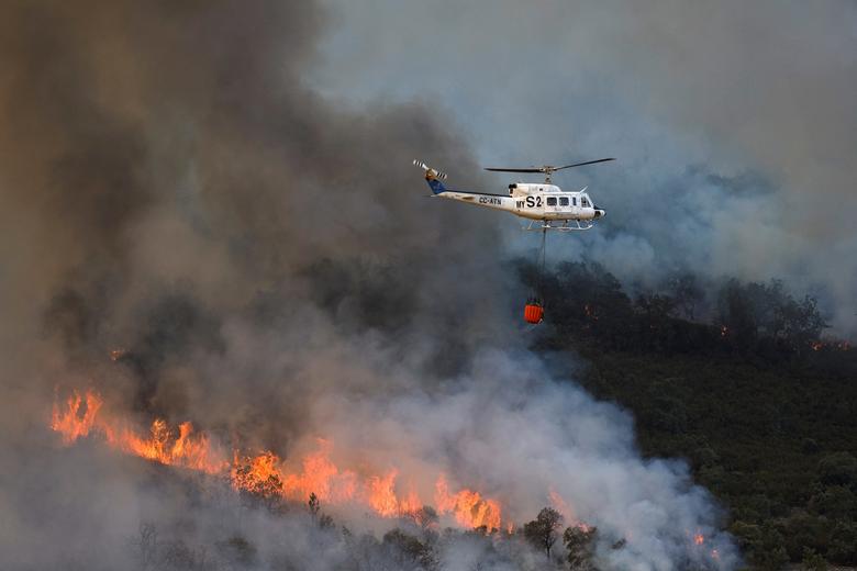 In Portugal, more than a thousand fire brigade personnel are fighting to control the fire.  There was a warning of severe drought here in June itself.