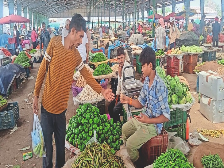 Inflow of local vegetables reduced, prices increased, peas beyond 150
