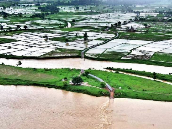 The paddy fields on the banks of the Sindh were submerged in Shivpuri.