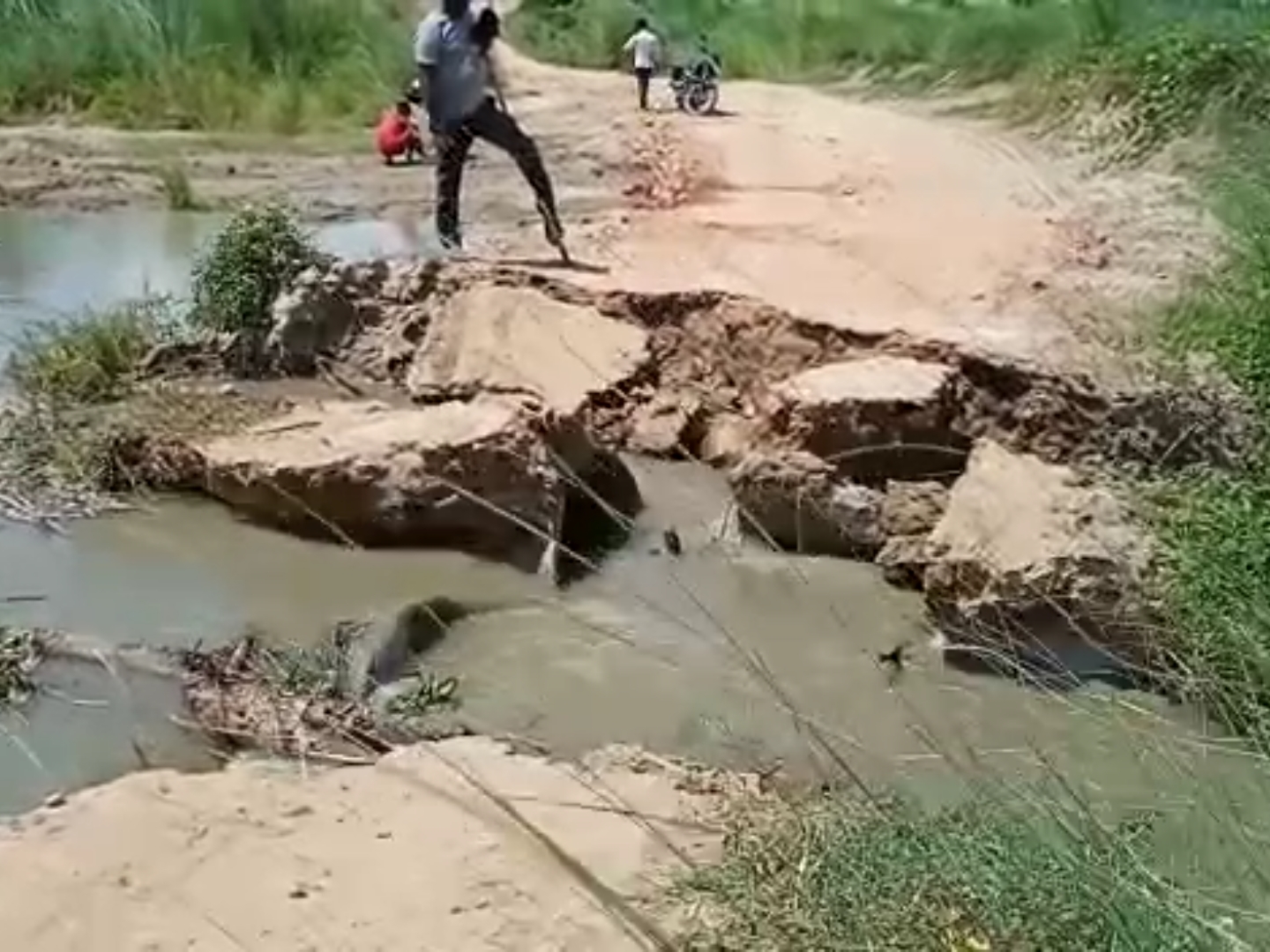 बिहार | Bihar - Dainik Bhaskar