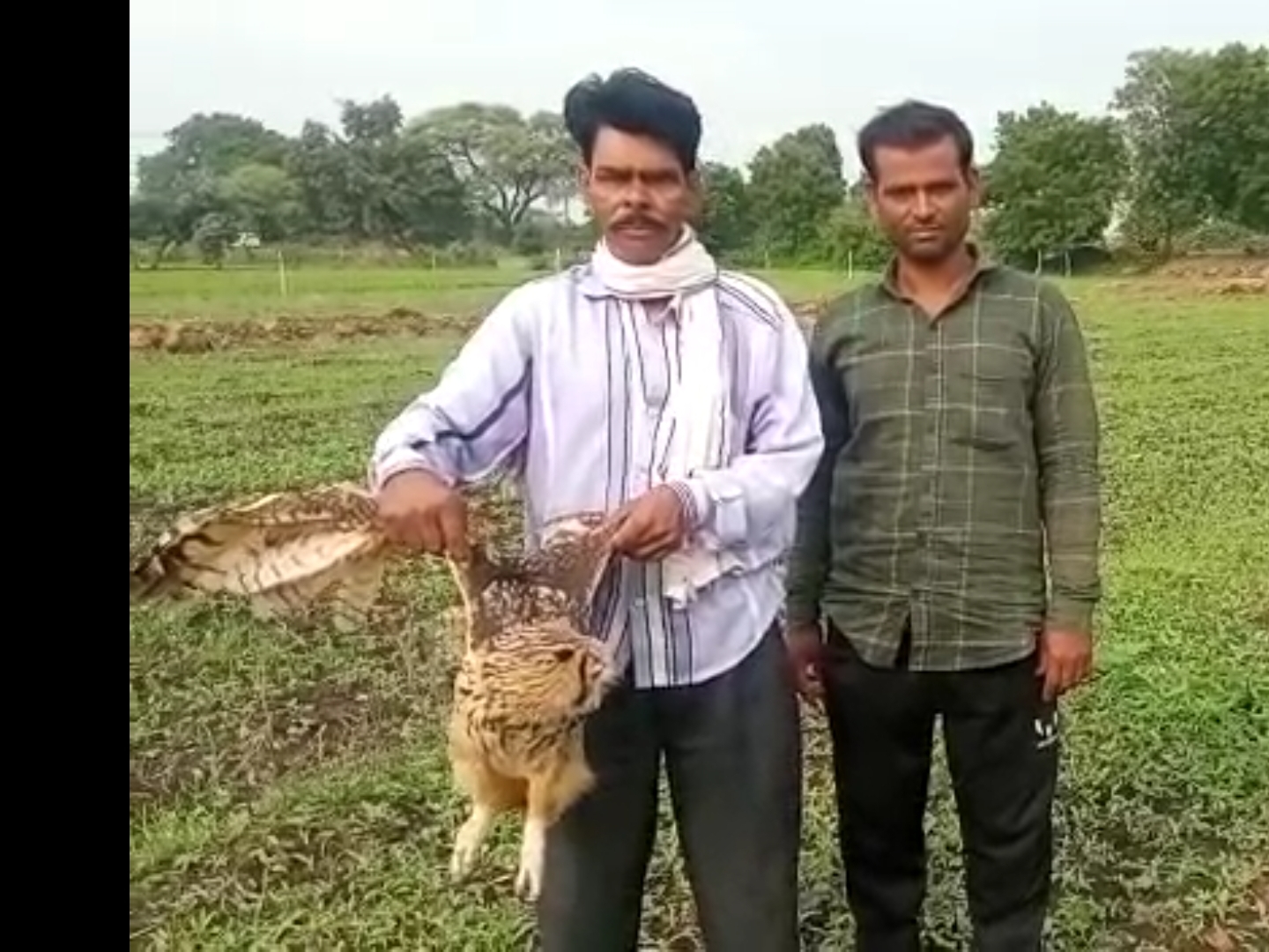 The forest staff reached to save the hawk of the extinct species, the ...