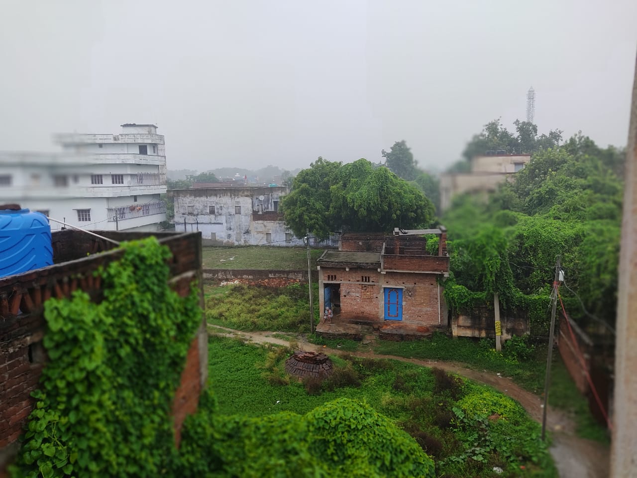 जहानाबाद में झमाझम बारिश हुई।