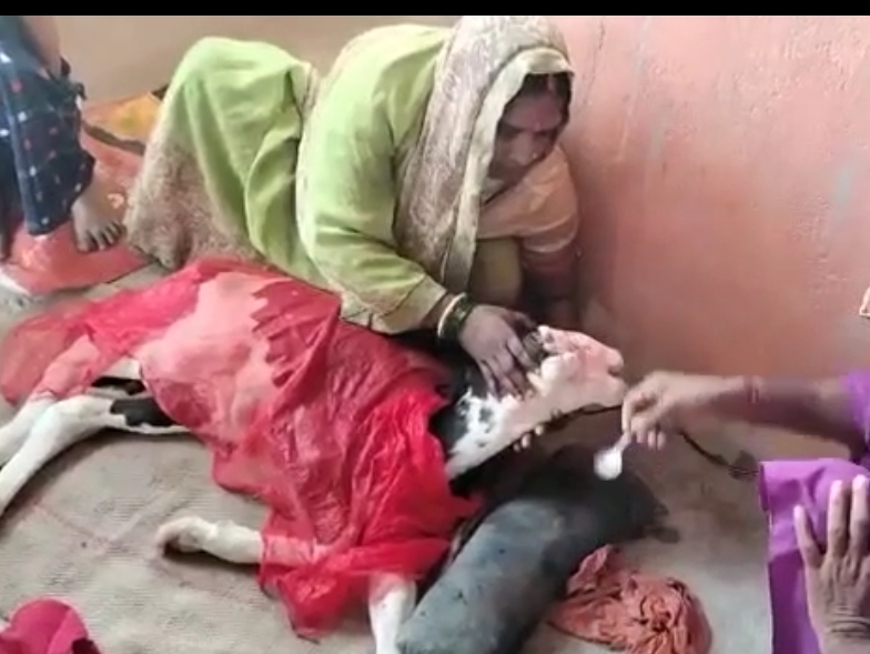 लोगों ने माना भोलेनाथ का आशीर्वाद, शुरू हुआ भजन-कीर्तन | People accepted the blessings of Bholenath, bhajan-kirtan started - Dainik Bhaskar