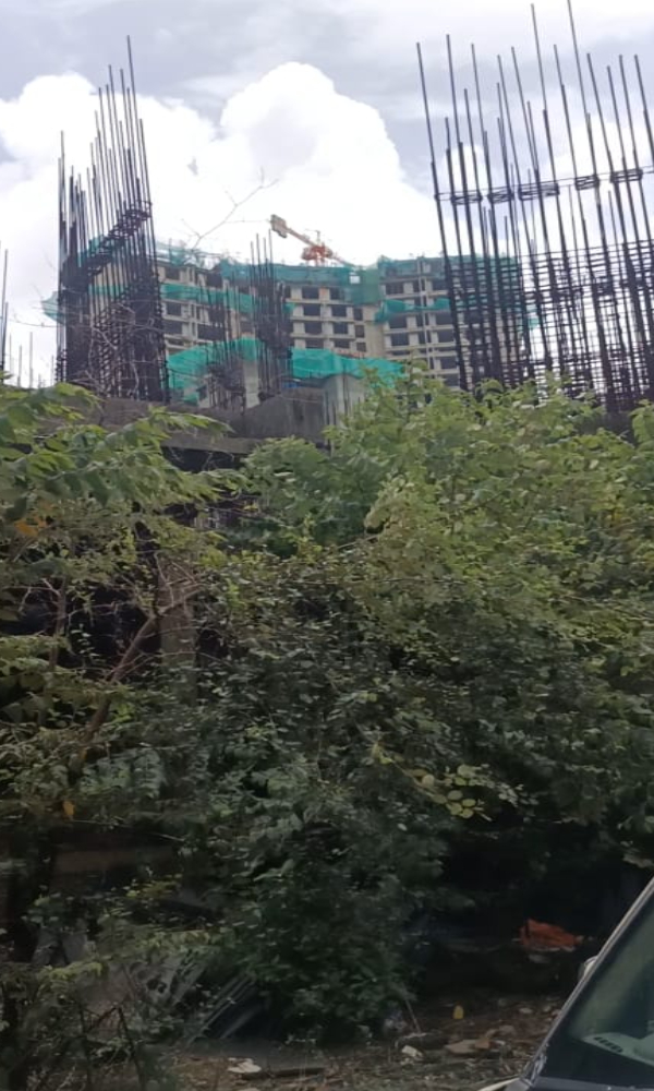 मुंबई के गोरेगांव में पात्रा चॉल प्रोजेक्ट के तहत बना अर्धनिर्मित मकान अब खंडहर में तब्दील हो रहे हैं। दीवारों पर काई लगी हैं, सरिया में जंग लग गया है।