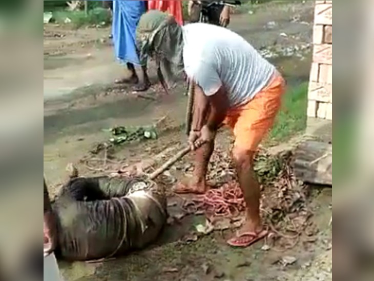 डंडे से पिटाई करता लोग।