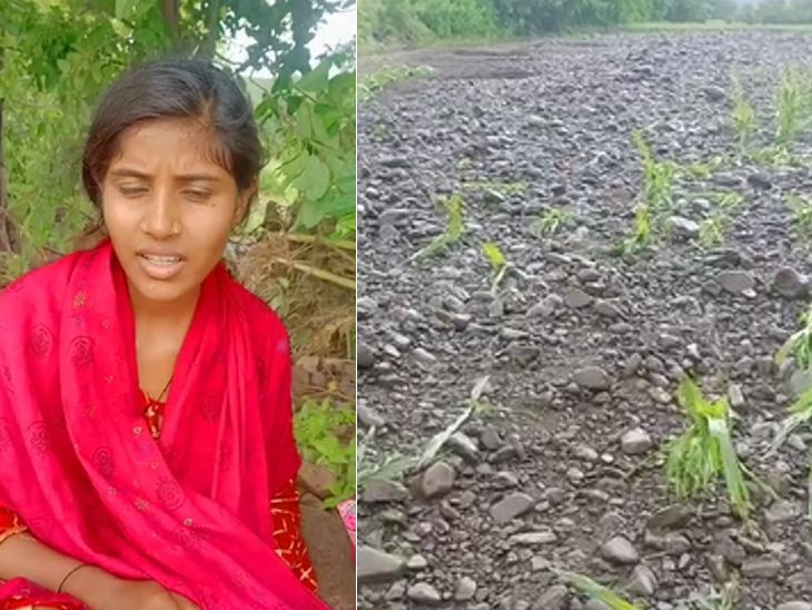 Lakshmi said that now only stones are seen in the farm. What will happen here now?