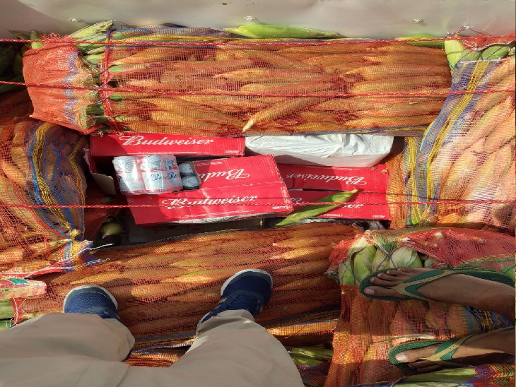 गया में एक्साइज विभाग ने डोभी चेक पोस्ट से बरामद किया 47 कार्टन केन बियर। - Dainik Bhaskar