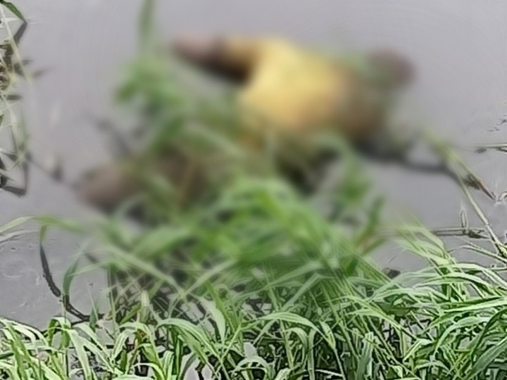 बिहार | Bihar - Dainik Bhaskar