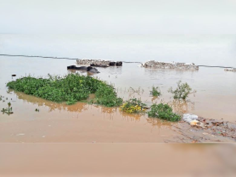 बाढ़ के पानी में बेकार पड़ रहा जीअो बैग। - Dainik Bhaskar