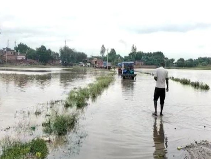 This image is from Chitrakoot. Farmers' crops have been ruined due to floods here.