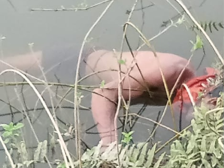 पुलिस ने शव को पानी भरे गड्ढे से बाहर निकालकर पोस्टमार्टम के लिए भेज दिया। - Dainik Bhaskar