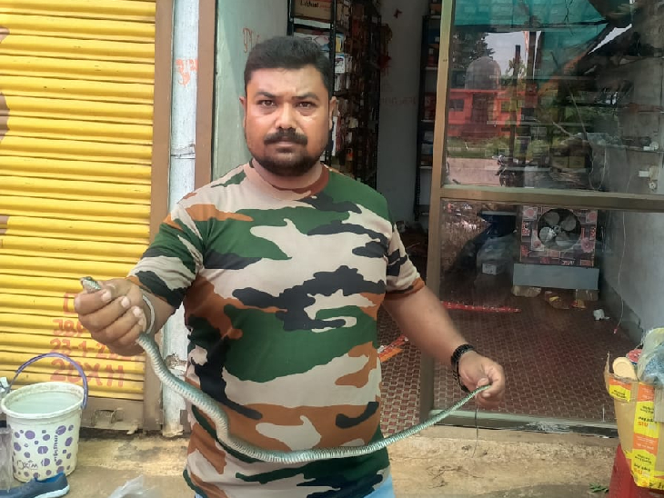MP Snack Catcher Rescue Video Footage; Snake Found In Shoe In Jabalpur
