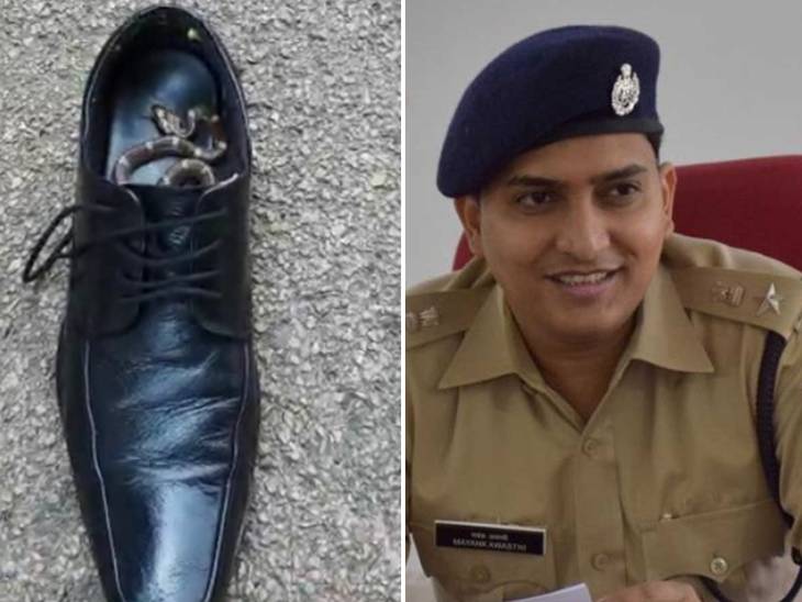 MP Snack Catcher Rescue Video Footage; Snake Found In Shoe In Jabalpur